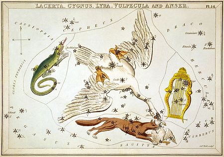 File:Sidney Hall - Urania's Mirror - Lacerta, Cygnus, Lyra, Vulpecula and Anser.jpg
