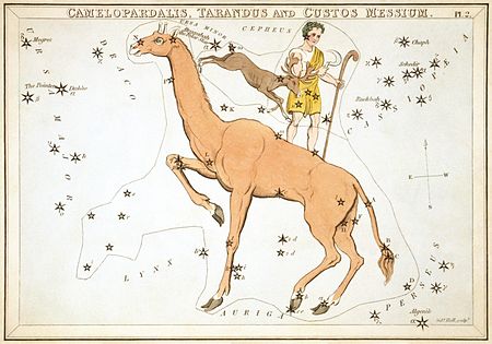 Camelopardalis Ascension Glossary