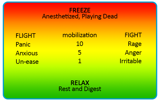File:Freeze-Relax-chart.png
