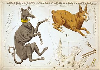 File:Sidney Hall - Urania's Mirror - Canis Major, Lepus, Columba Noachi & Cela Sculptoris.jpg