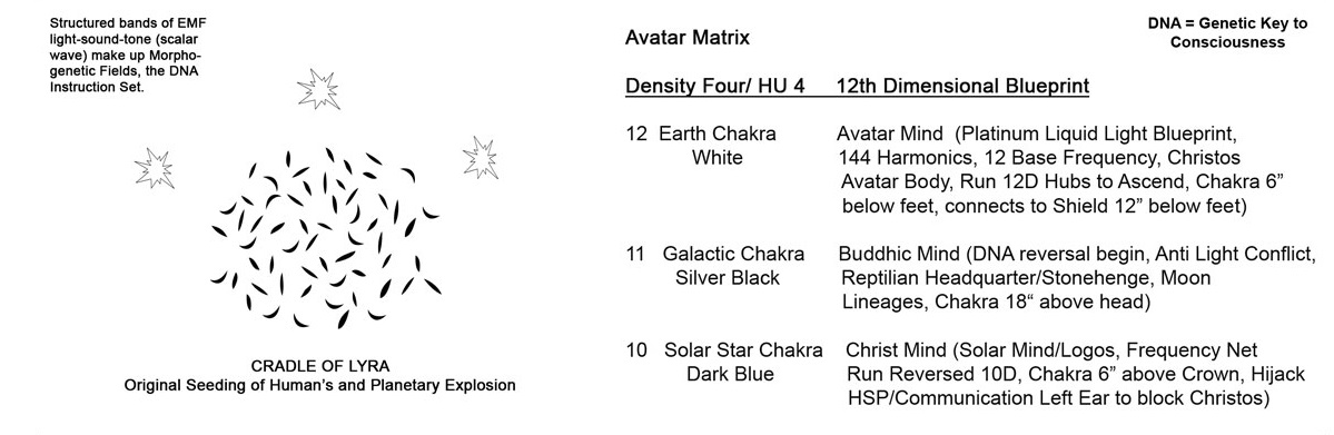 Avatar Universe 10-11-12D