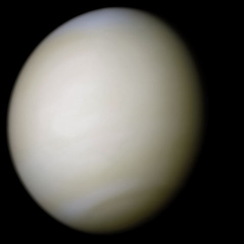 File:Venus-real color.jpg