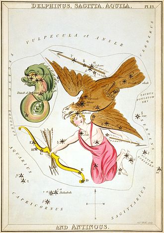 File:Sidney Hall - Urania's Mirror - Delphinus, Sagitta, Aquila, and Antinous.jpg