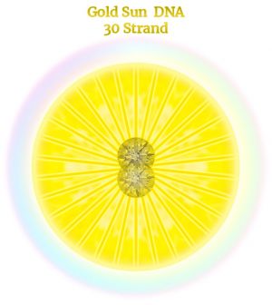 16-DNA-Sun-Clock-30.jpg