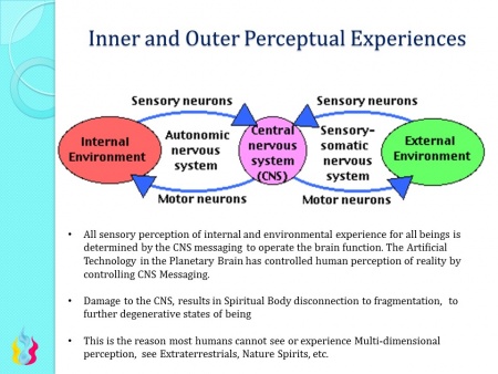 Perceptual Experiences - Ascension Glossary