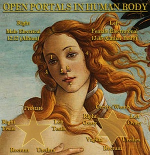 Venus-Portals.jpg