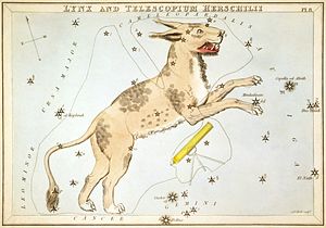 Sidney Hall - Urania's Mirror - Lynx and Telescopium Herschilii.jpg