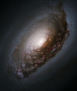 375px-Blackeyegalaxy.jpg