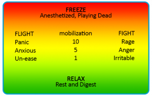 Freeze-Relax-chart.png
