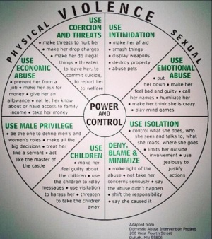 1416051982630 wps 9 domestic abuse chart.jpg