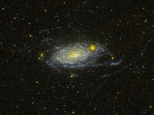 375px-Messier 63 GALEX WikiSky.jpg