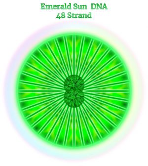 18-Emerald Sun DNA-48.jpg