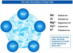 Body-fluid-electrolytes.png