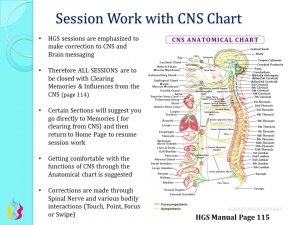 HGS CNS Chart4.jpg
