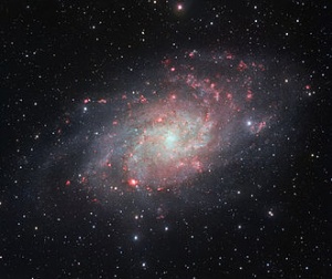 Triangulum Galaxy.jpg