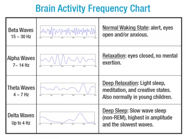 Brain Signals - Ascension Glossary